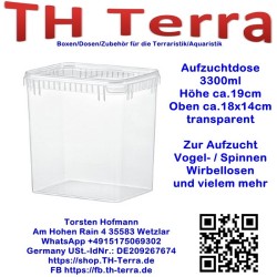 3300ml Aufzuchtdose recheckig