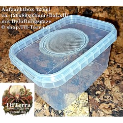 425ml Aufzuchtdose Gaze rechteckig