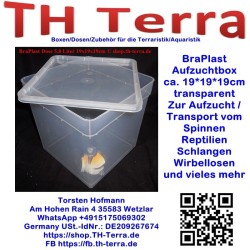 BraPlast Aufzucht- / Transportbox 5,8l quadratisch