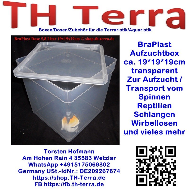BraPlast Aufzucht- / Transportbox 5,8l quadratisch