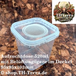 Aufzuchtdose für Vogelspinnen und andere Wirbellose