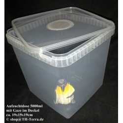 5000ml 1x Gaze Aufzuchtose quadratisch