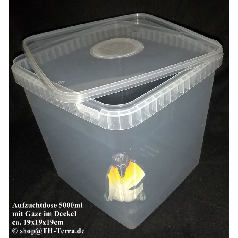 5000ml 1x Gaze Aufzuchtose quadratisch