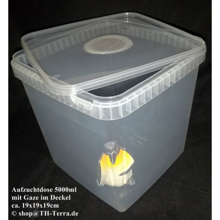 5000ml 1x Gaze Aufzuchtose quadratisch