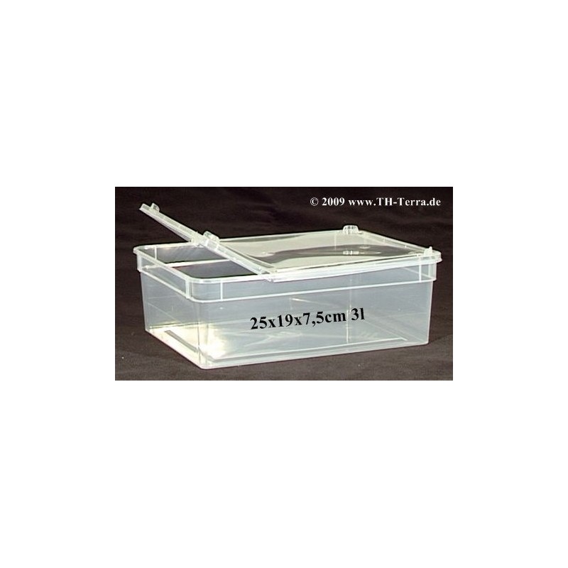 BraPlast Aufzucht- / Transportbox 3,0l rechteckig