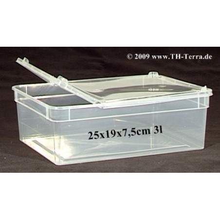 BraPlast Aufzucht- / Transportbox 3,0l rechteckig