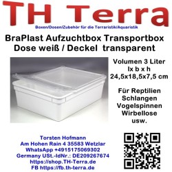 BraPlast Aufzucht- / Transportbox 3,0l rechteckig