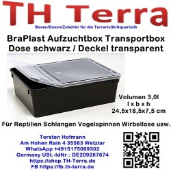 BraPlast Aufzucht- / Transportbox 3,0l rechteckig