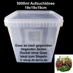 4000ml 2x SeitenGaze Aufzuchtdose quadratisch