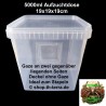 4000ml 2x SeitenGaze Aufzuchtdose quadratisch