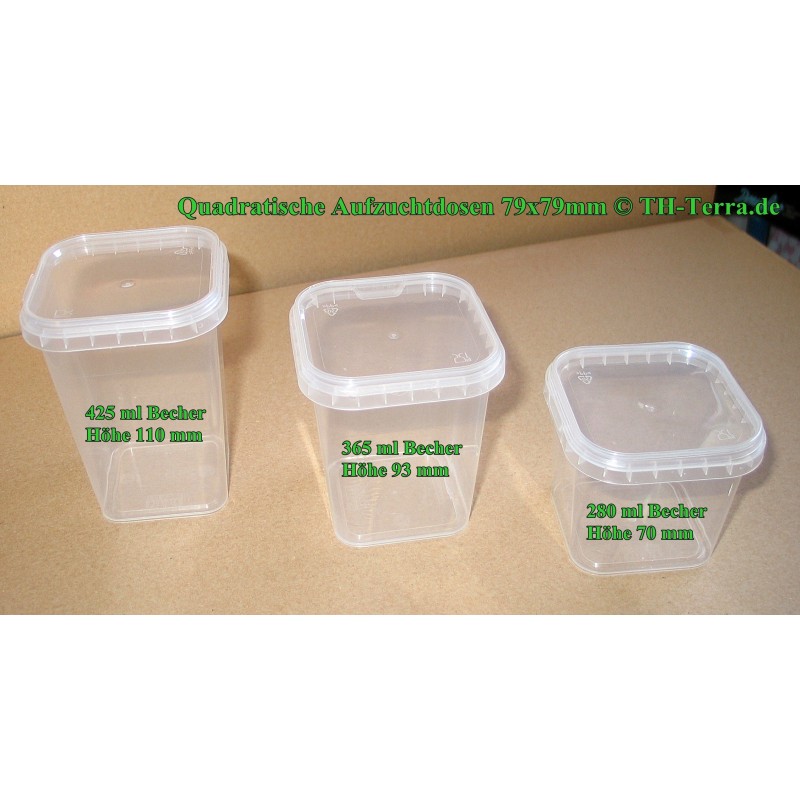 280ml Aufzuchtdose quadratisch