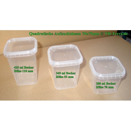 280ml Aufzuchtdose quadratisch